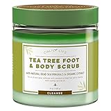 Calily Life Organic Anti Fungal Tea Tree Body & Foot Scrub with Dead Sea Minerals, 24 Oz. – Gentle Exfoliating, Cleansing Moisturizing - Helps for Cellulite, Acne, Jock Itch, Warts, etc. [ENHANCED]