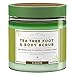 Calily Life Organic Anti Fungal Tea Tree Body & Foot Scrub with Dead Sea Minerals, 24 Oz. – Gentle Exfoliating, Cleansing Moisturizing - Helps for Cellulite, Acne, Jock Itch, Warts, etc. [ENHANCED]
