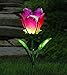 Regal Art &Gift Solar Tulip Stake, Pink/Yellow