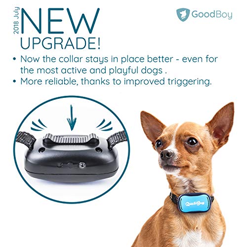 GoodBoy Small Dog Bark Collar for Tiny to Medium Dogs Rechargeable and