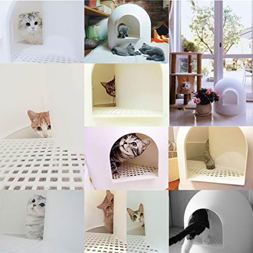 pidan Igloo Cat Litter Box Enclosure with lid, High Dome Covered Litter Box House with Modern