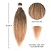 Ombre Pre-stretched Braiding Hair 20