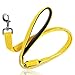 ILLUMISEEN LED Light Up Dog Leash | Ultra High Visibility Up to 350 Yards | 3 Lighting Modes | USB Rechargeable, No Batteries Needed | Padded Handle & Rotating Swivel Clasp to Prevent Leash Tangling