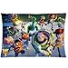 Toy Story family Custom Rectangle Zippered Pillow Cases 20x30 Inch (Twin Sides)