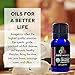 Aweganics Pure Patchouli Oil USDA Organic Essential Oils, 100% Pure Premium Therapeutic Grade, Best Aromatherapy Scented-Oils for Diffuser, Home, Office, Personal Use - 10 ML - MSRP $14.99