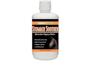 FORMULA 1 NONI Formula 1 Papaya Stomach Soother 32 oz