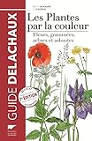 Image de Les Plantes par la couleur