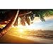 Poster – Beach Sunset – Picture Decoration Caribbean Sea Palm Tree Nature Summer Sun Ocean Vacation Dream Island Orange Dusk Image Photo Decor Wall Mural (55x39.4in - 140x100cm)