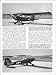 L-Birds: American Combat Liaison Aircraft of World War II