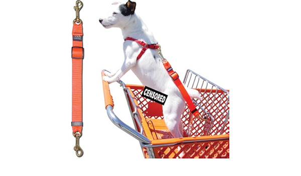 dog shopping cart