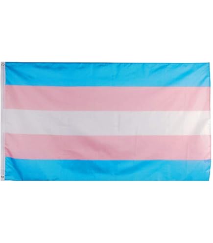 Anley Fly Breeze - Bandera Demiboy Pride De 3 X 5 Pies, Color