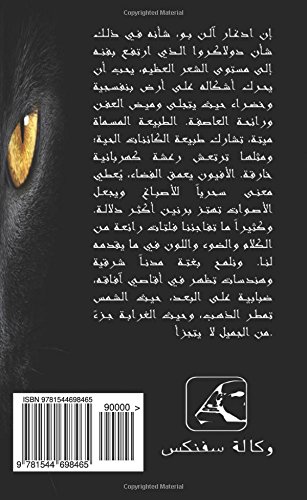 The Black Cat  (Arabic Edition): Alqat Al'aswad, die schwarze Katze