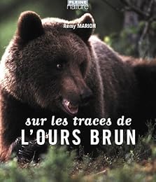 Sur les traces de l'ours brun