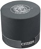 Citizen AR3015-53E