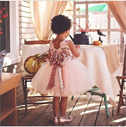 BKSKK Newborn Toddler Baby Girls Sequins Bowknot Floral Princess Flower Girl Dresses