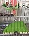 Bird Perch Stand Birdcage Platform for Small Medium Parrot Rat Small Animal (7inch, Green)thumb 3