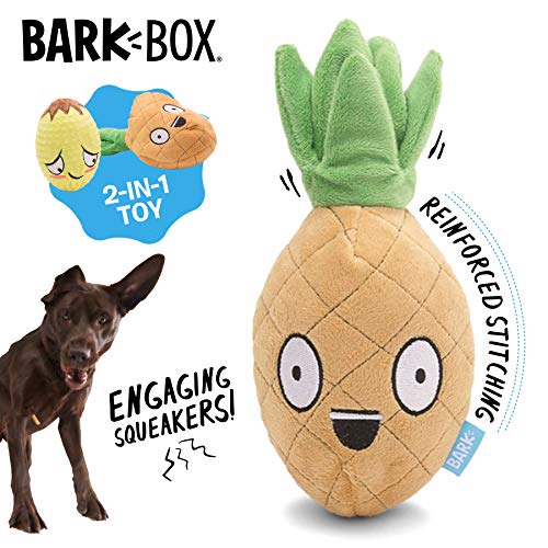 barkbox for two dogs
