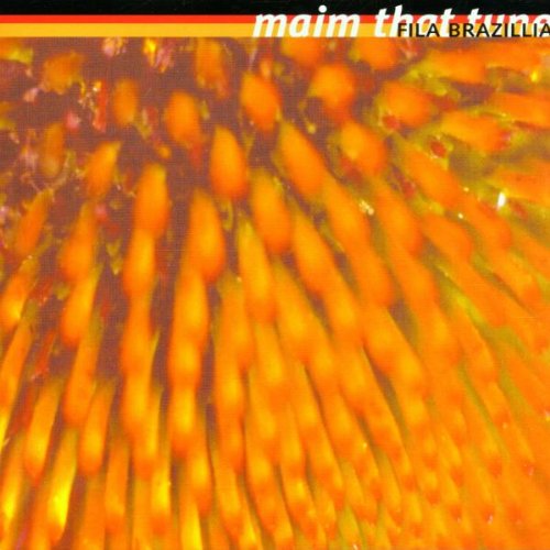 Fila Brazillia - Subtle Body Lyrics - Zortam Music