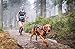 Non-stop dogwear Freemotion Harness: Padded for Active Dogs, Canicross, Skijoring & Bikejoring (7)