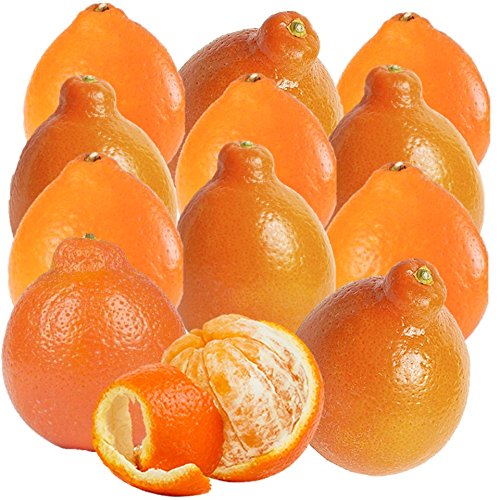Florida Honeybell Oranges (Tangelos) by Organic Mountain