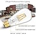 CRLight 6W Dimmable 700LM LED Edison Bulb 2700K Warm White, 60W Equivalent E26 Medium Base, ST21(ST64) Vintage LED Filament Bulbs, 360 Degrees Beam Angle, Pack of 3