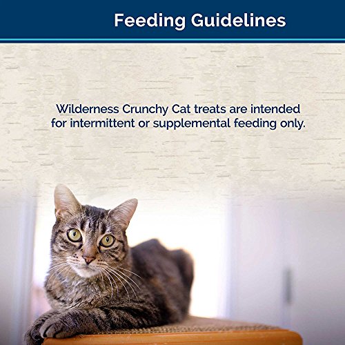 BLUE Wilderness Grain-Free Crunchy Salmon Flavor C at Treats 2-oz 12 Pack
