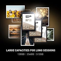 Silicon Power 2-Pack 512GB V60 R/W Up to 280/170