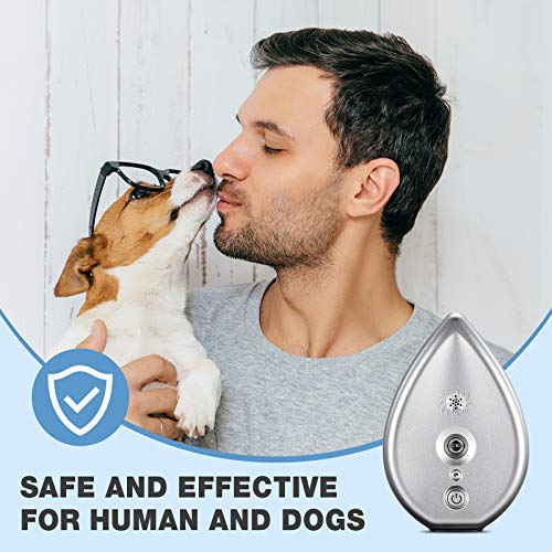 automatic dog barking deterrent