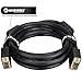 FARSTRIDER Gold Plated VGA/SVGA 12 Feet (3.6 Meters) 15 Pin Male to Male Premium Quality DDC Monitor Cable, 24K Gold Connector, 100% Bare Copper, Ferrite Cores, Durable PVC Jacket, Black