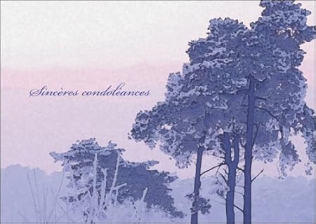 Kartenkaufrausch Set Di 5 Carte Condoglianze Sentite Condoglianze Scheda Di Lutto Scheda Condoglianze Biglietto Di Auguri Rilassante Il Dolore Con Paesaggio Amazon It Casa E Cucina