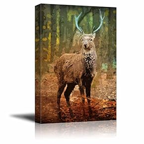 Animal Theme A Deer in The Forest on...