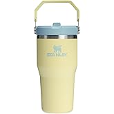 Stanley IceFlow 2.0 Flip Straw Tumbler with Handle 20 oz | Twist On Lid and Flip Up Straw | Leak Resistant Water Bottle | Insulated Stainless Steel | BPA-Free | Pomelo