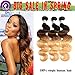 Finest Remy Grade 8A Ombre Brazilian Hair Body Wave 3 Tone Ombre Bundles Body Wave (14/16/18 Inch,1B/4/27), Ombre Body Wave 3 Bundles Body Wave