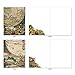 The Best Card Company - 10 Assorted Blank All Occasions Notecards Box Set 4 x 5.12 Inch w/Envelopes Vintage Art Map for Men, Women, Variety Pack (10 Designs, 1 Each) - Topographics M2341OCB