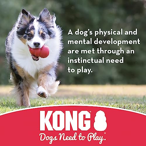 KONG Flyer Tough Dog Toy for Aggressive Chewers Durable Rubber Flying Disc Dog Toy Outdoor