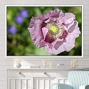 signwin Framed Canvas Wall Art Flora Snapshot Closeup...