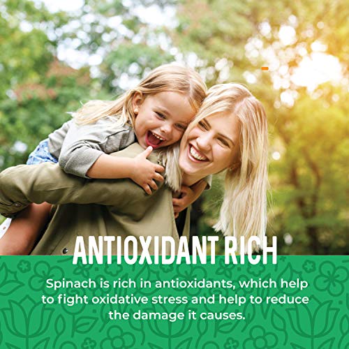 Spinach Powder, 16 oz. Dried Spinach Flour, Powder Spinach Extract