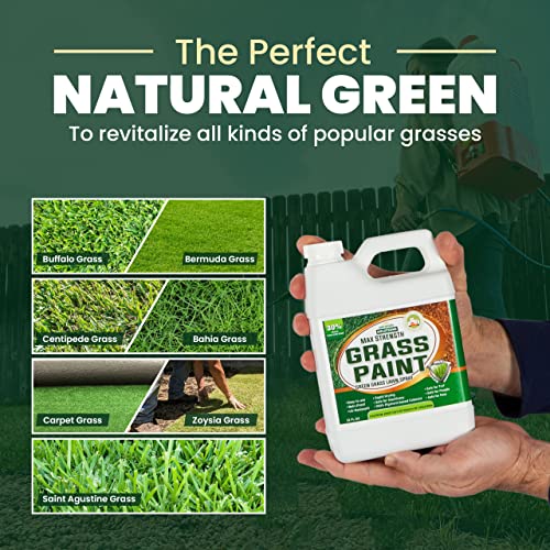 PetraTools Grass Paint Max Strength, Green Grass Lawn Spray & Dog Spot