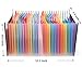 Caveen 24 Pockets Expanding Files Large Capacity A4 Size Colorful File Organizer Plastic Stand Expandable Portable Accordion Folder Business File/Home Paper Organizer Bag