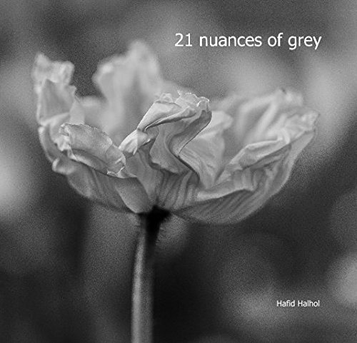 21 Nuances Of Grey Hafid Halhol 9781388335533 Amazoncom