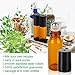 Fiery Youth Amber Glass Roller Bottles with Stainless Steel Roller Balls,Useful for Aromatherapy Perfumes and Lip Balms, 6 Bottle Set,5ml，Essential Oils Glass Roll on Bottle