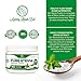 Pure Stevia Powder Extract Sweetener - Zero Calorie Sugar Substitute - No Artificial Ingredients (3,000 servings)