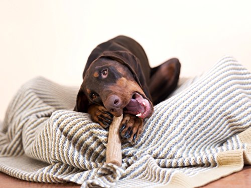 Petstages Dogwood Durable Dog Chew Toy, Large - Long Lasting Chew Stick Made with Real Wood - USA Made, L