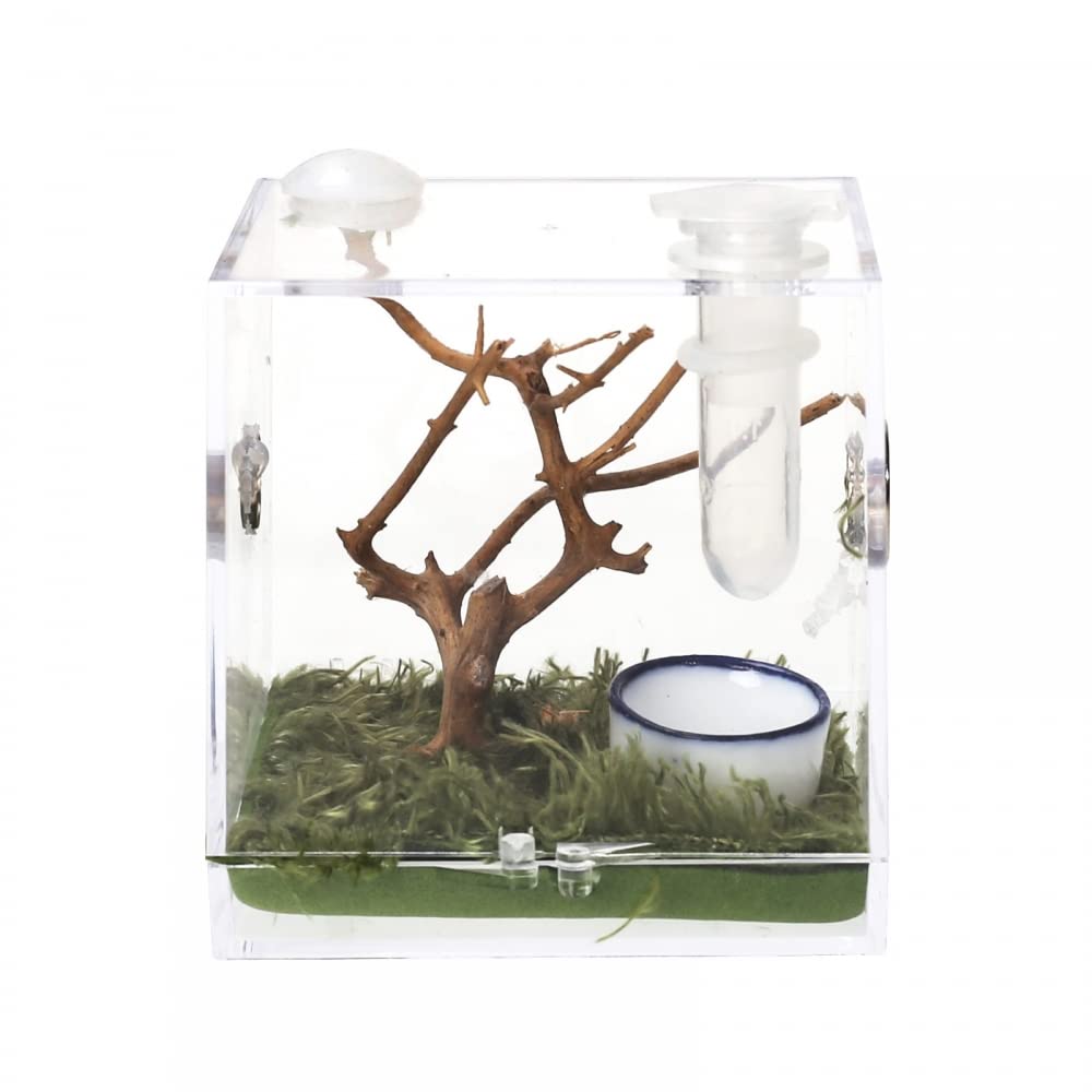 Reptile Habitat Box,Acrylic Critter Keeper Reptiles Feeding Boxs for Small Insect Jumping Spider Reptile Isopods Lizards Roach