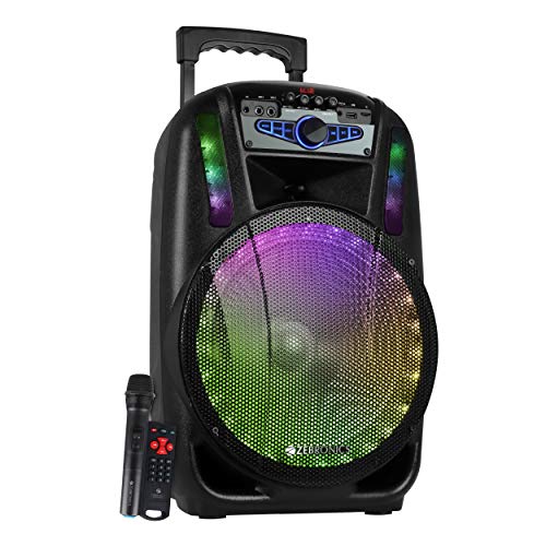 Zebronics ZEB-TRX212L Trolley Speaker with Bluetooth Supporting, USB, Micro SD Card, FM, AUX, Mic Input x 2 (Black)