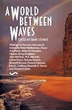 Front cover for the book A World Between Waves by Frank Stewart