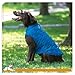 Kurgo Loft Dog Jacket, Reversible Dog Coat, Wear with Harness or Sweater, Water Resistant, Reflective, Winter Coat for Large Dogs (Coastal Blue, XL)