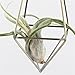 NCYP Rustic Style Freestanding Hanging Metal Tillandsia Air Plant Rack Bronze Color 10 inches Height Quadrilateral Pyramid Shape Geometric No Plants