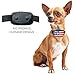 GoodBoy Small Rechargeable Dog Bark Collar for Tiny to Medium Dogs Waterproof and Vibrating Anti Bark Training Device That is Smallest & Most Safe On Amazon - No Shock No Spiky Prongs! (6+ lbs)
