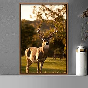 signwin Framed Canvas Wall Art Deer Animals Deer...